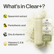 clearday gallery (en)