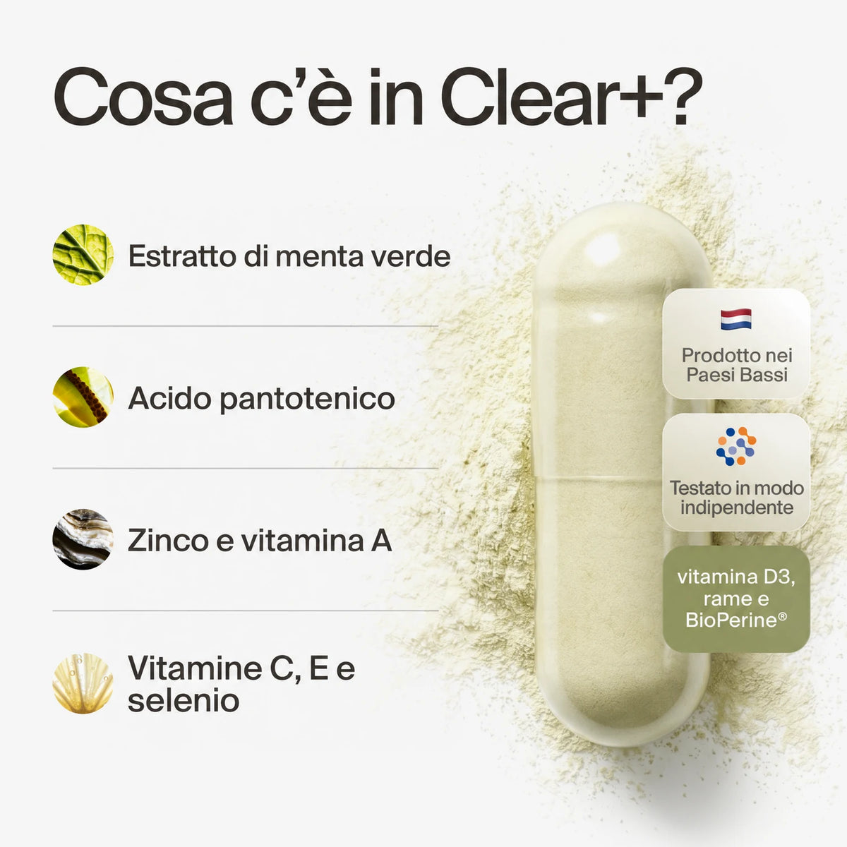 clearday gallery (it)
