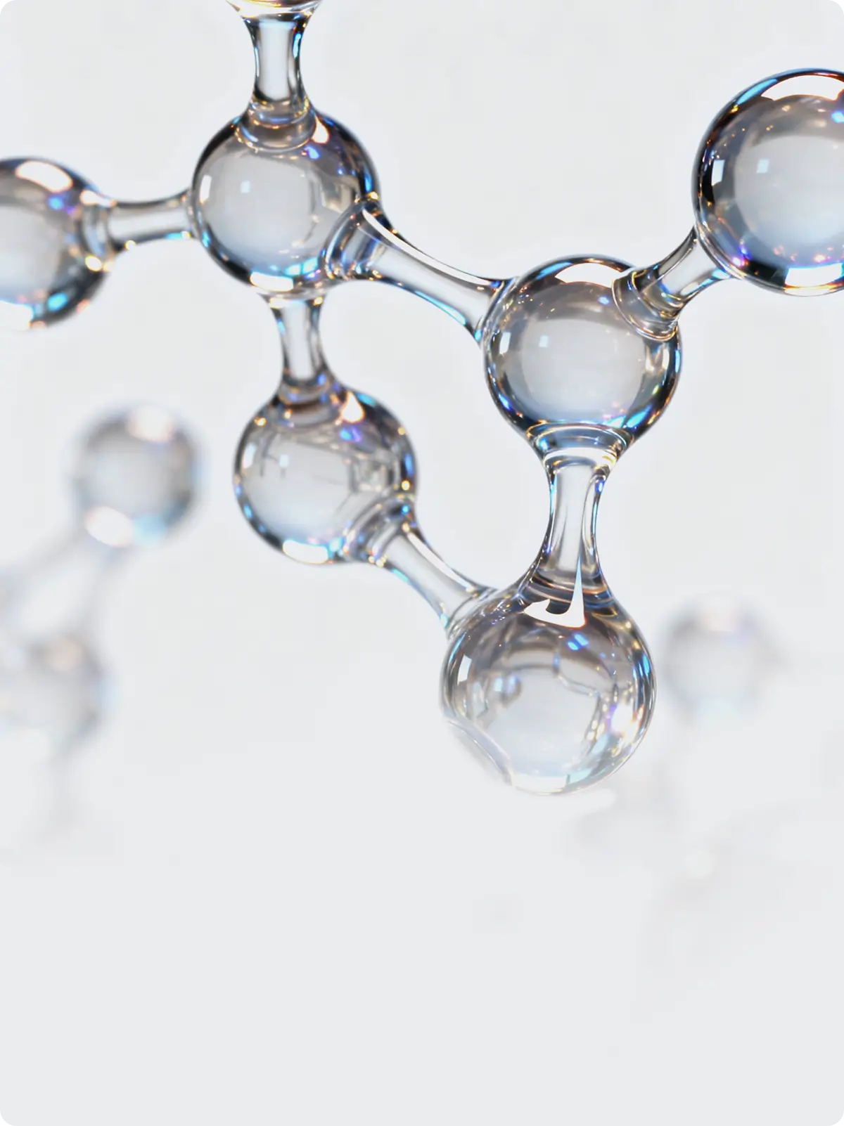 Hydrolyzed Collagen