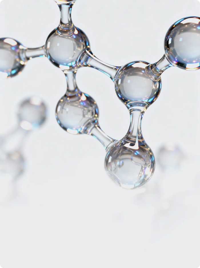 Hydrolyzed Collagen